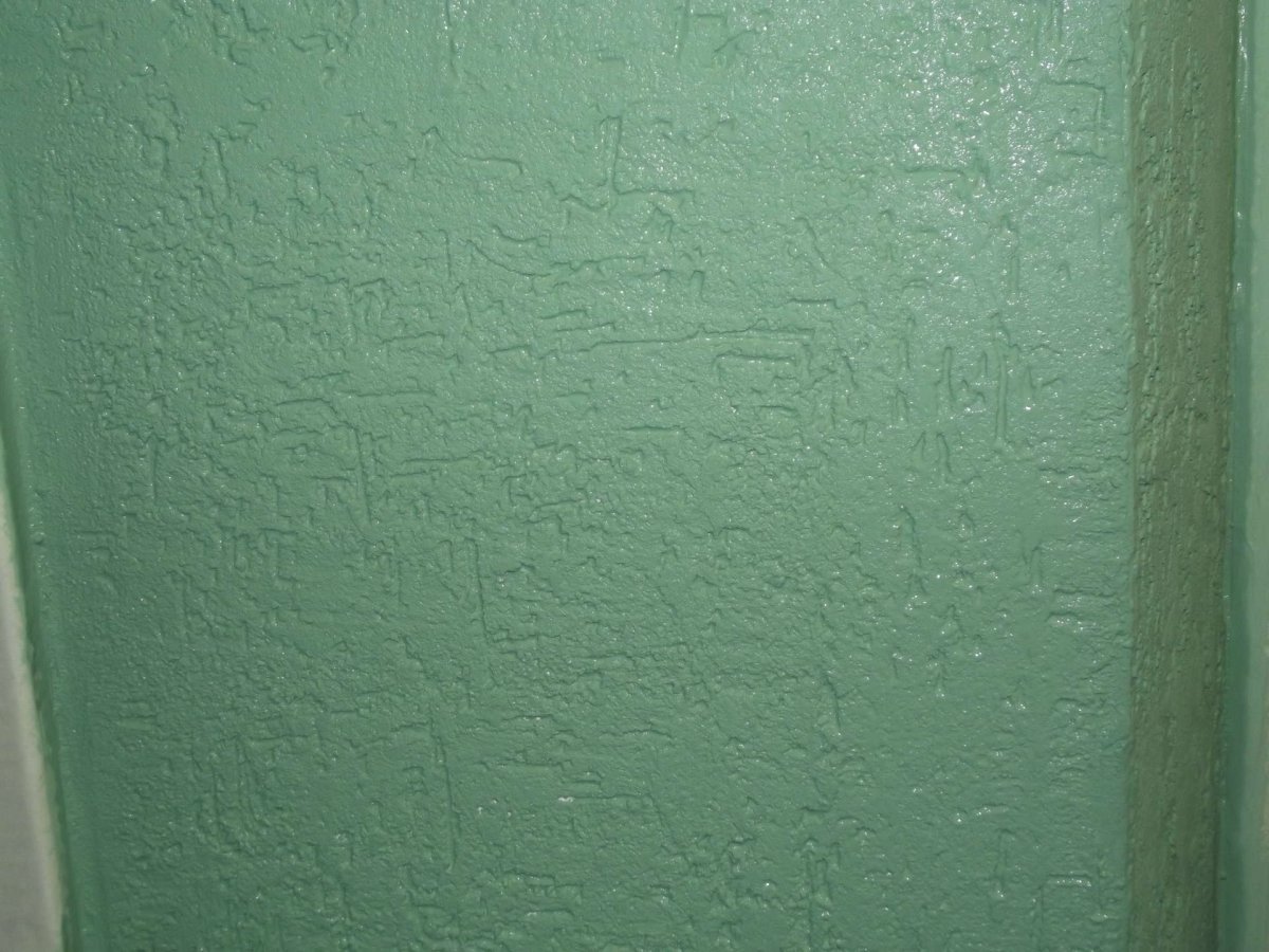 Салатовый короед