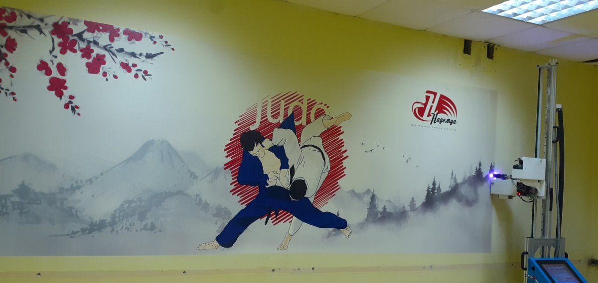 3д принтер для печати на стенах и потолке