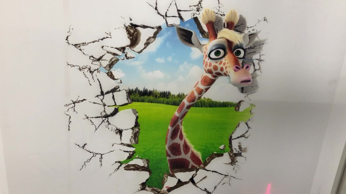 Рисунки на стену