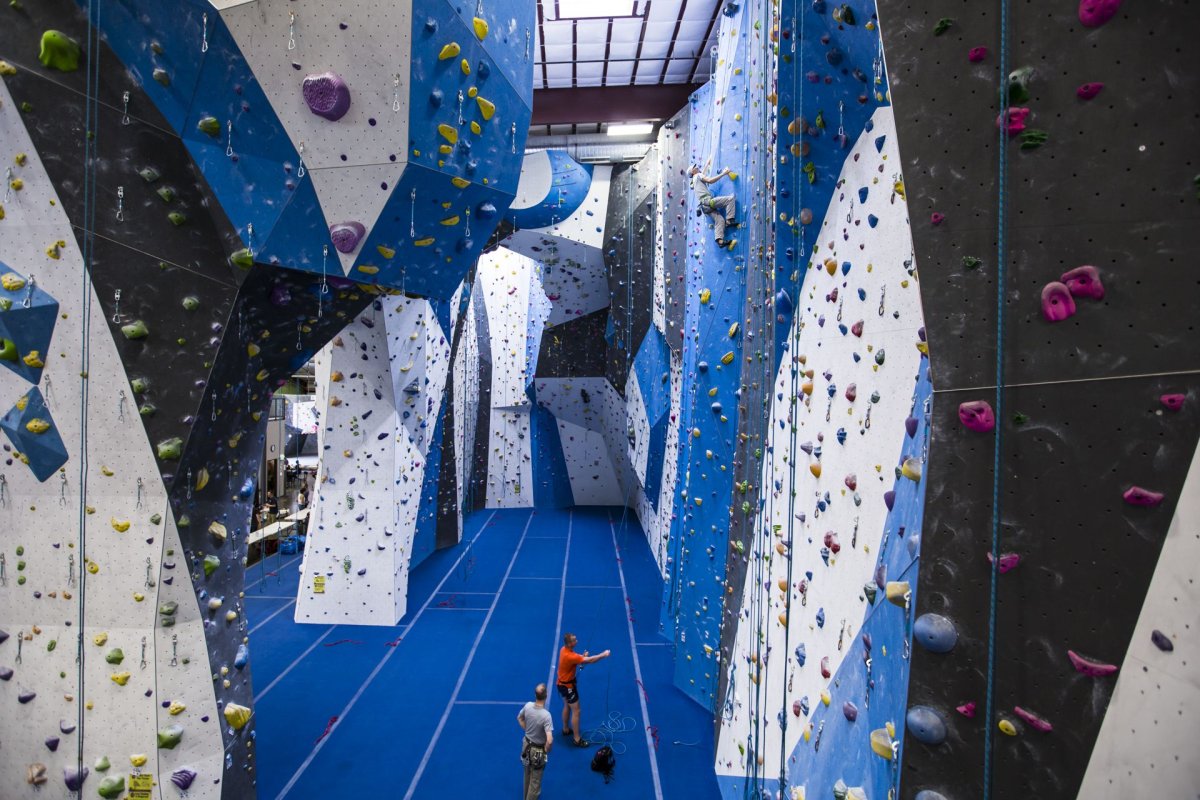 Скалодром проект