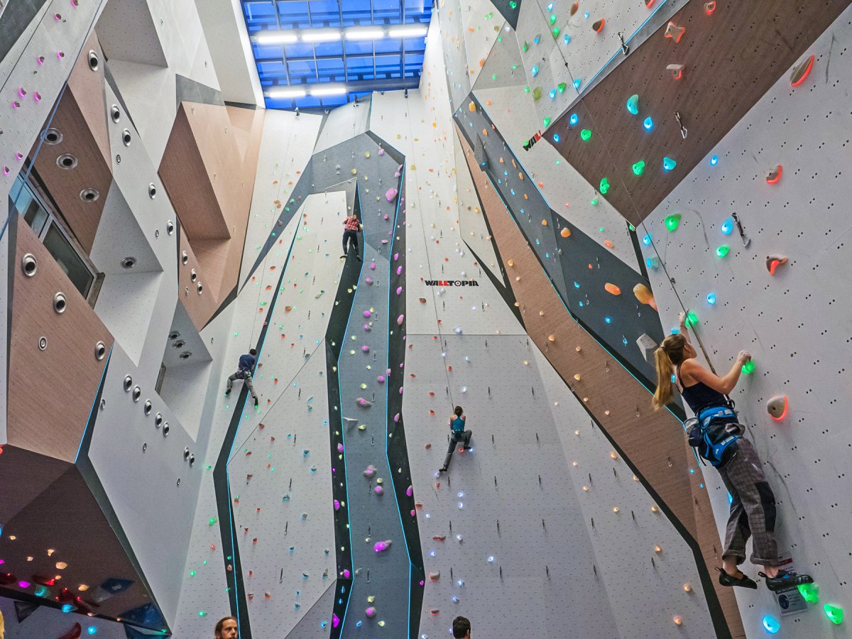 Walltopia Climbing Wall