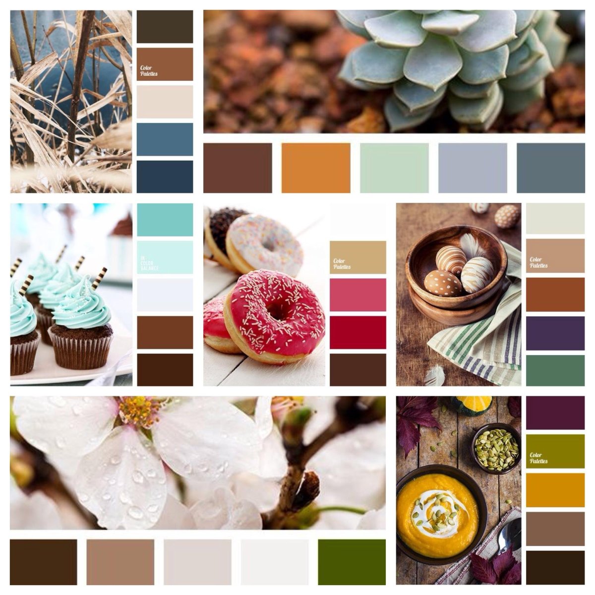 Сочетание цветов мебели и стен таблица