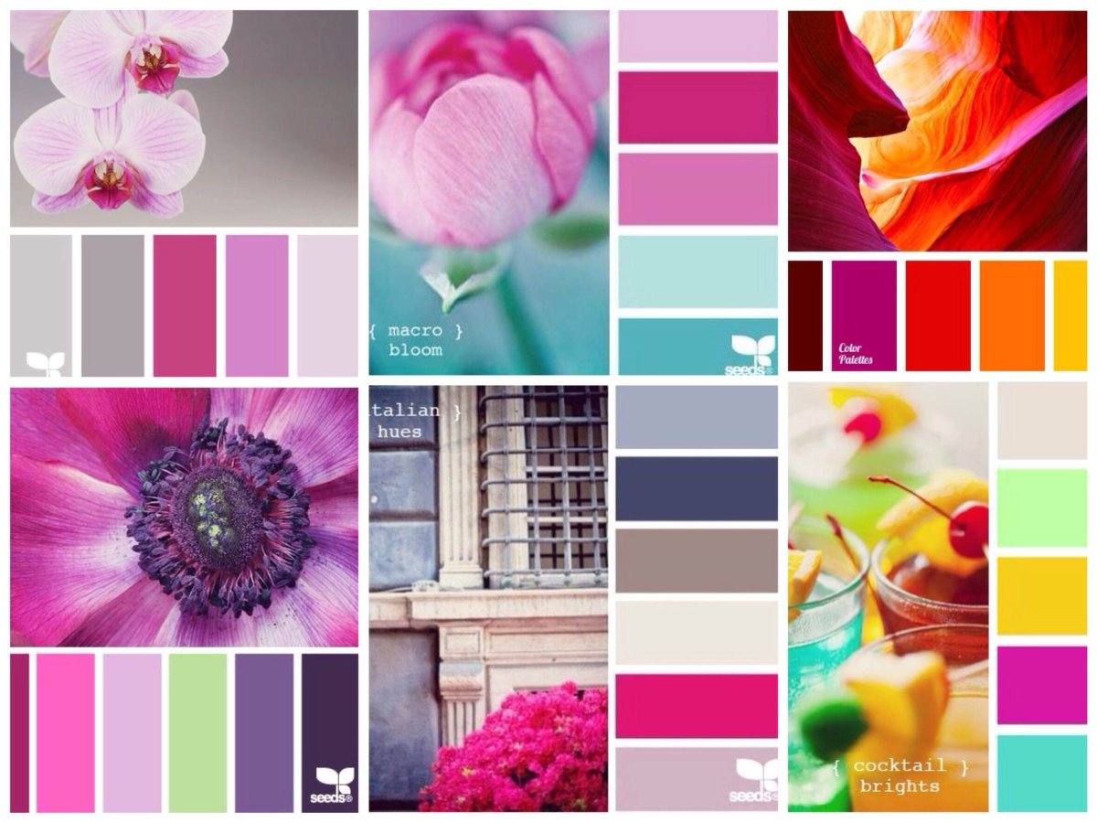 Цветовая гамма в интерьере