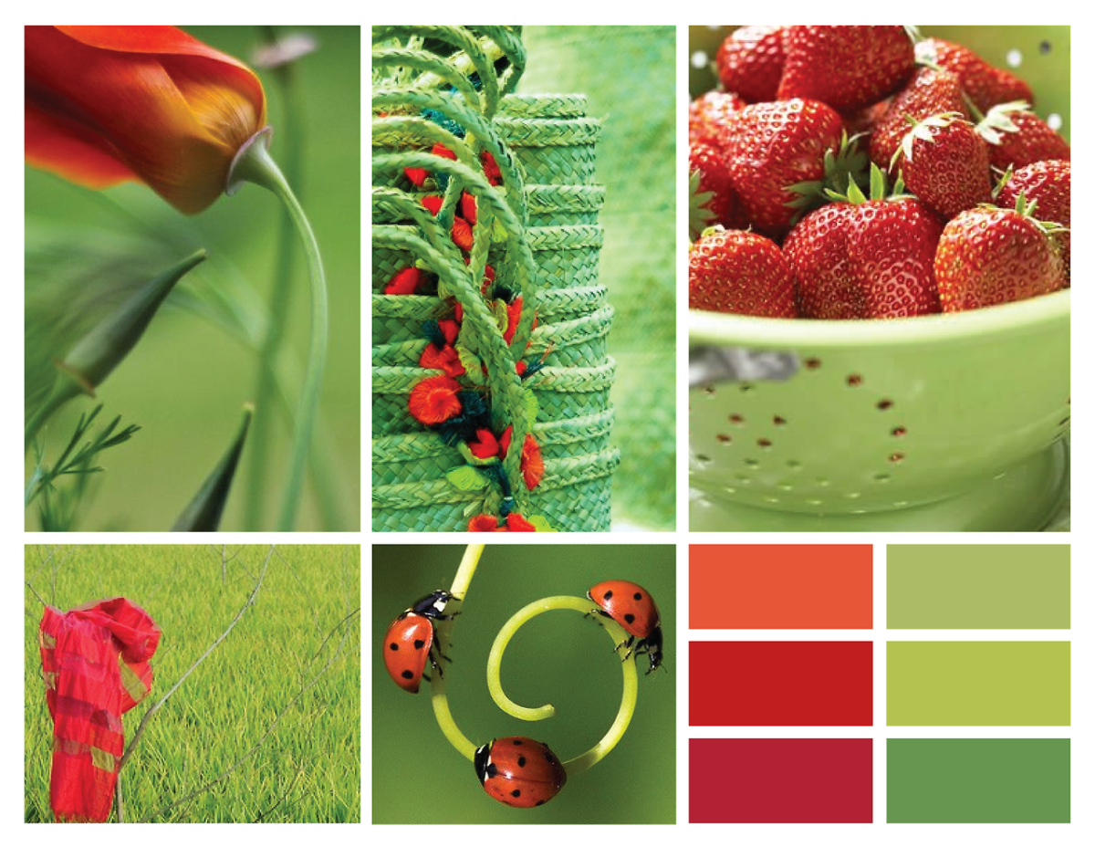 Цветовая гамма для гостиной