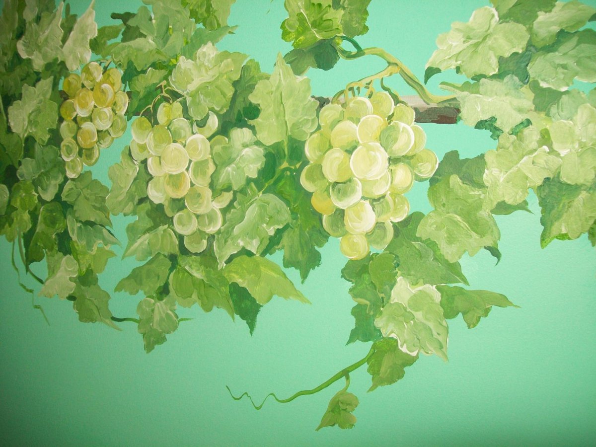 Виноград лоза море