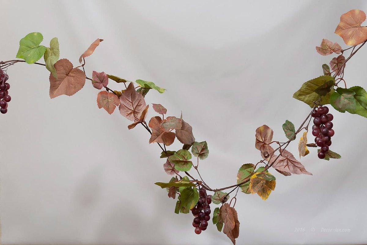 Виноградная Лиана