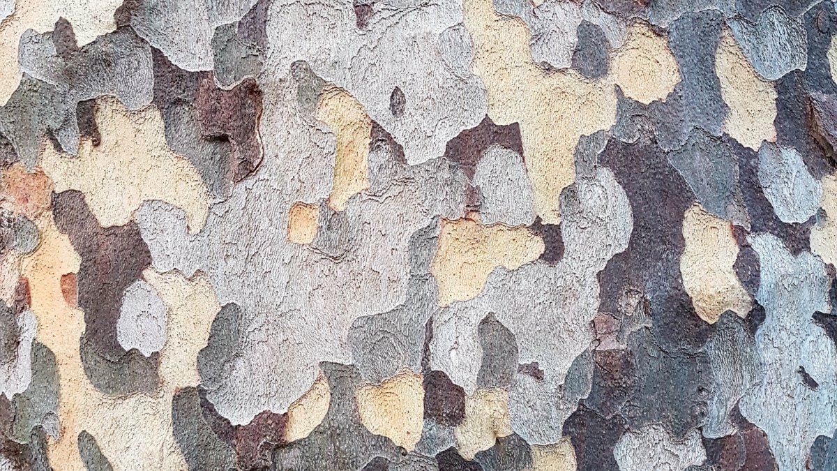 Пластик Arpa 3328 белый порфир