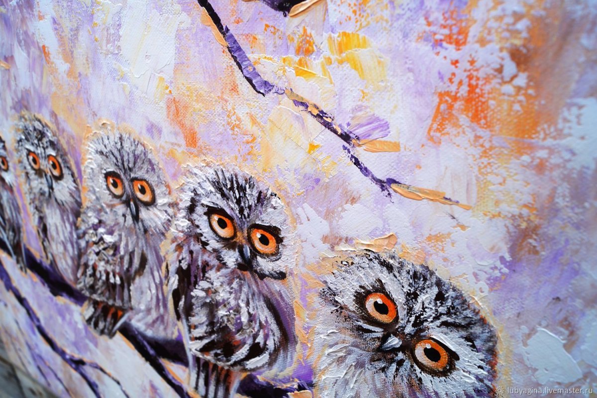 Фотообои Сова