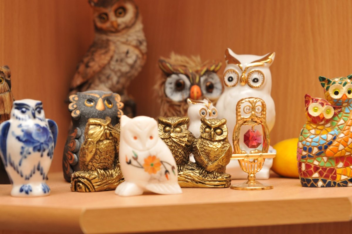 Совушки в круге