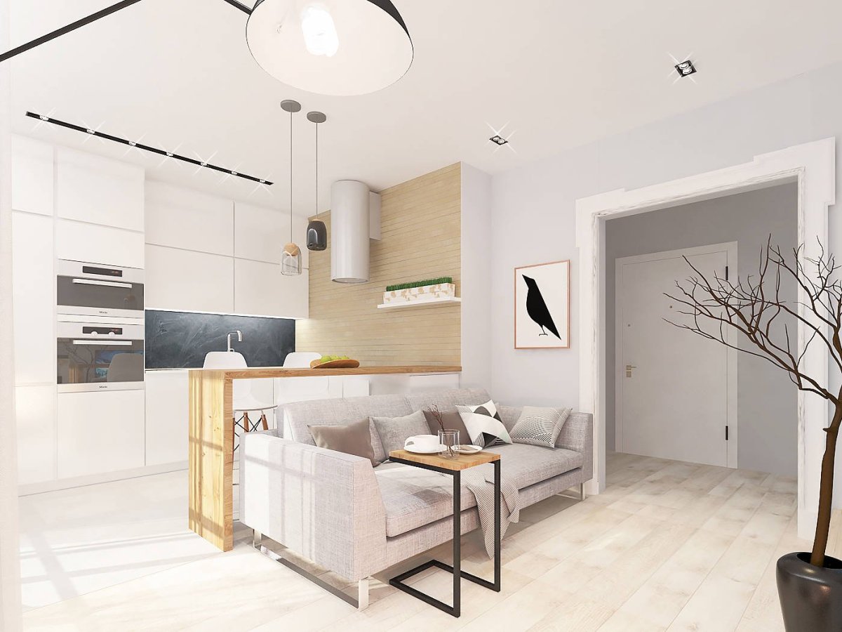 Студия кухня-гостиная 30 м2