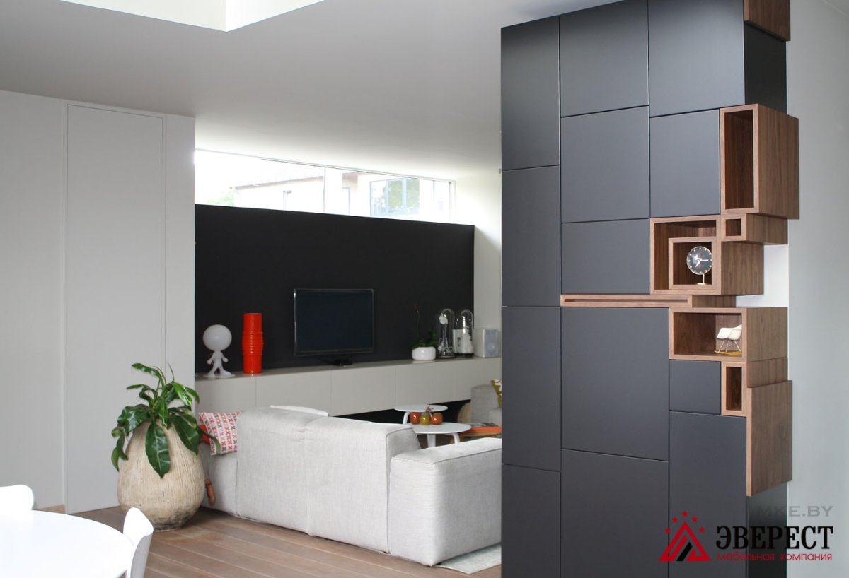 Необычные шкафы в гостиную