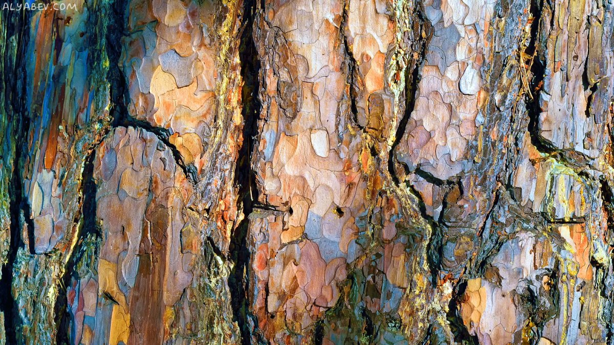 Имитация дерева из бетона