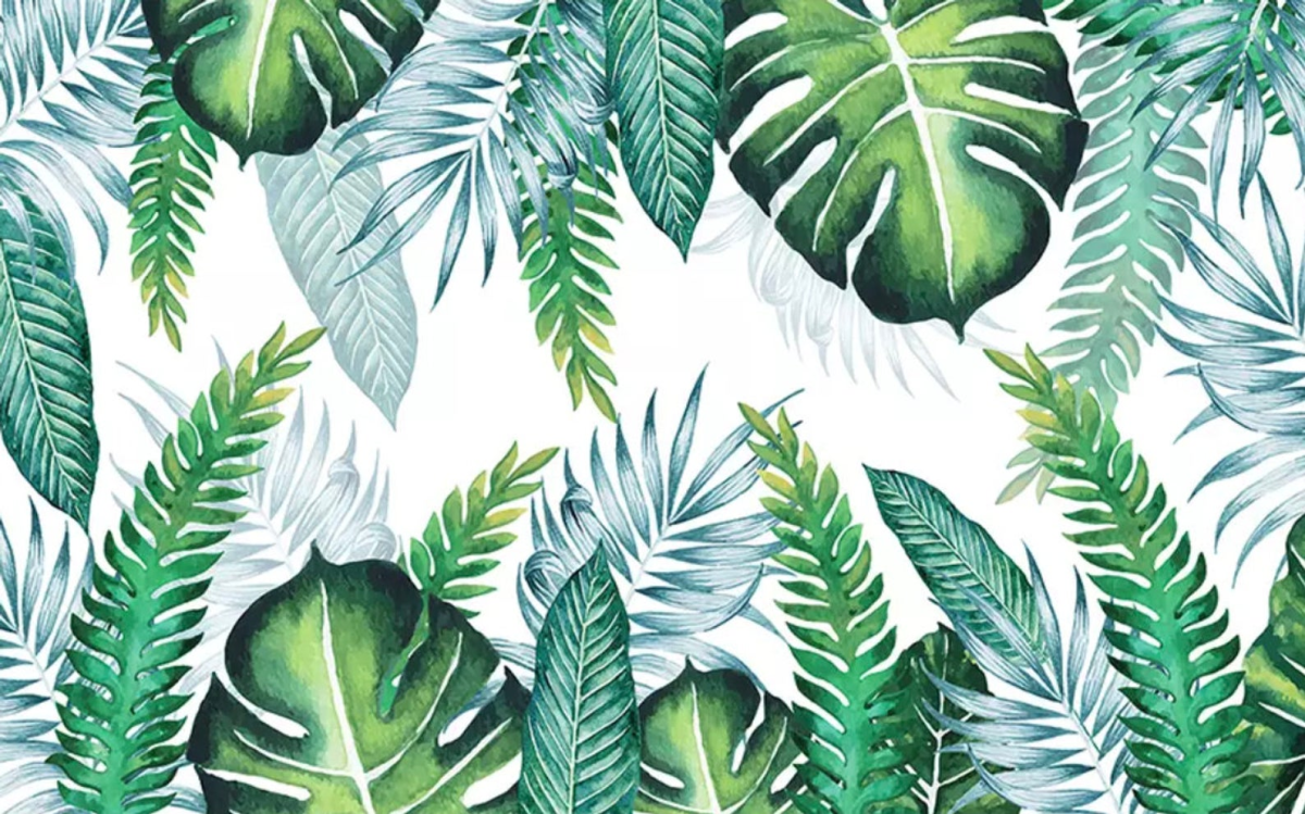 Tropical leaves. Аффреско пальмовые листья. Аффреско банановые листья. Золотой папоротник монстера. Папоротник пальмы монстера.