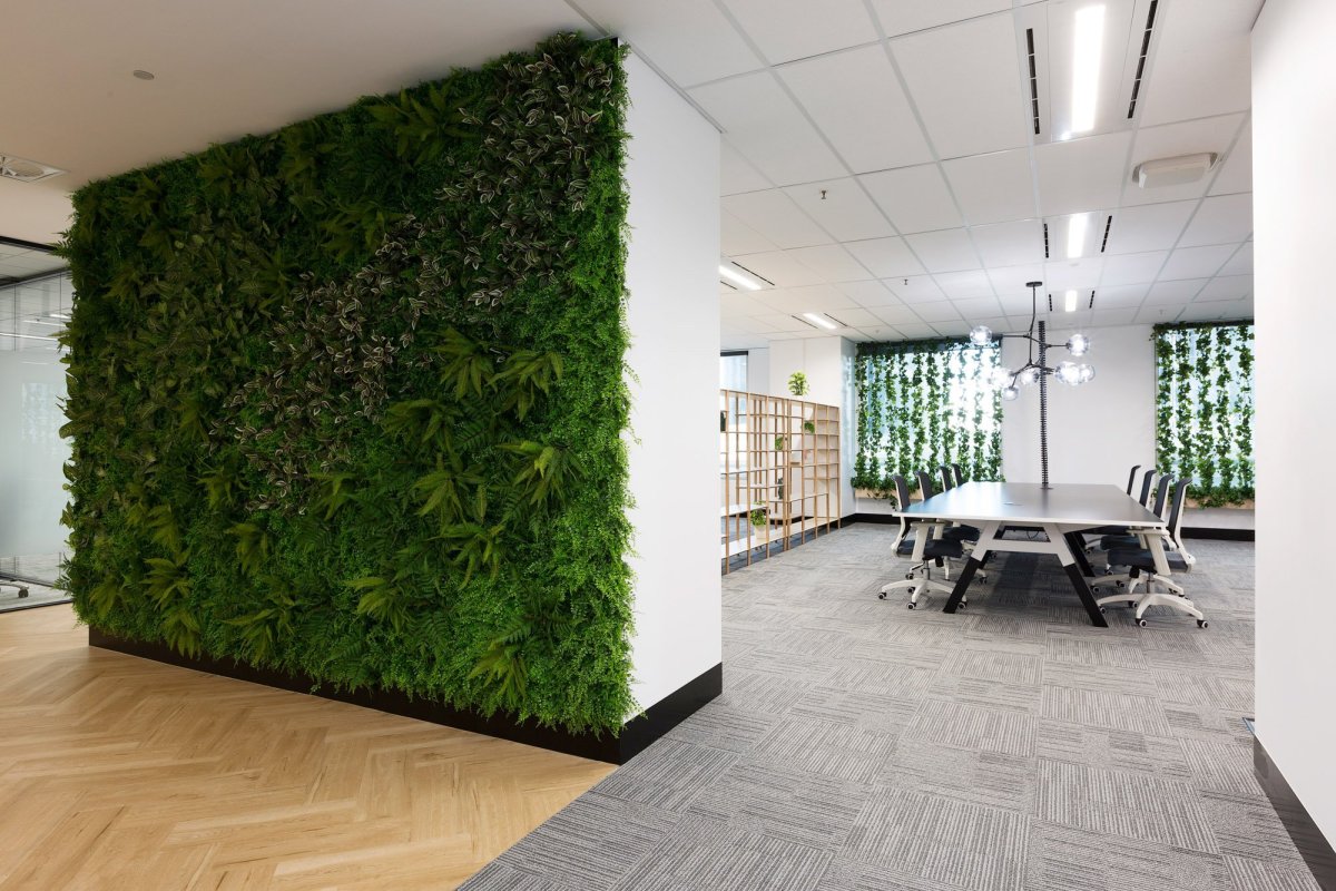 Фитостена ягель