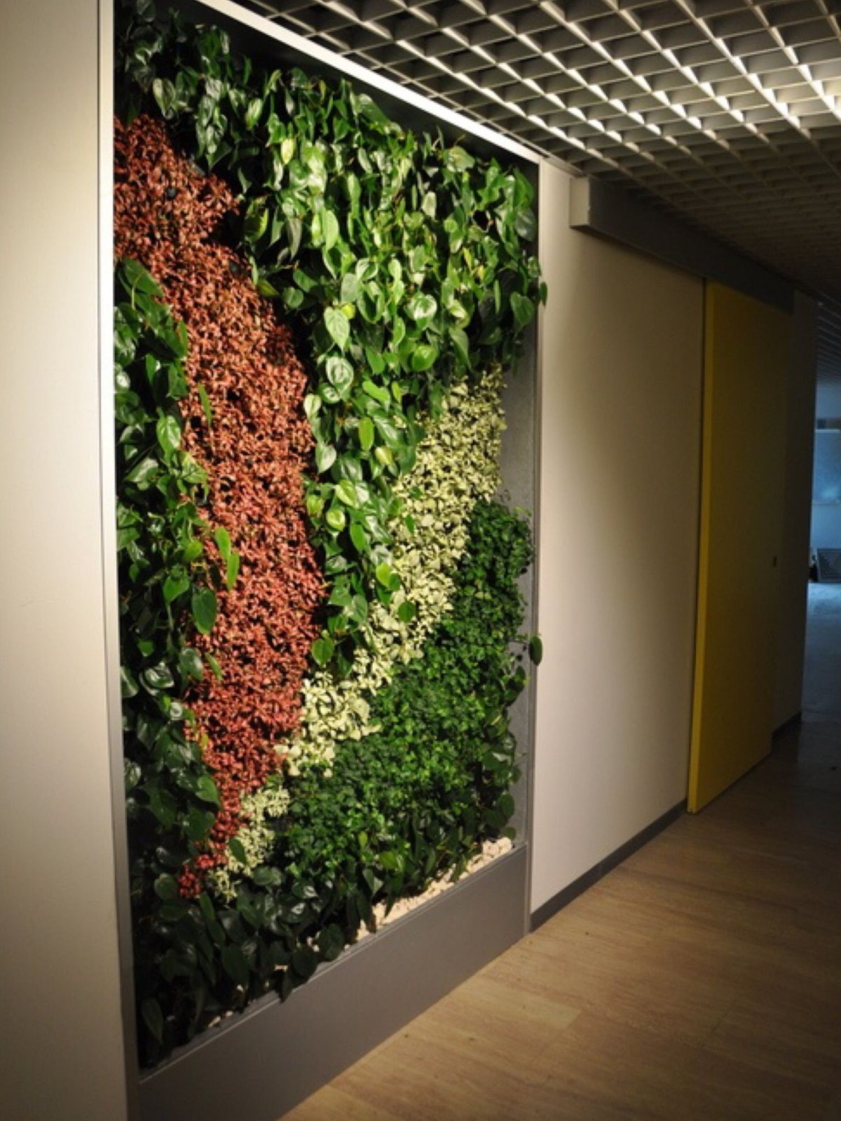 Фитокартина икеа