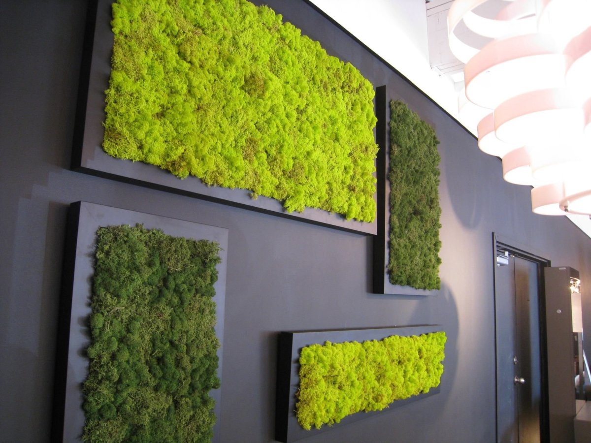 Ягель Фитодекор