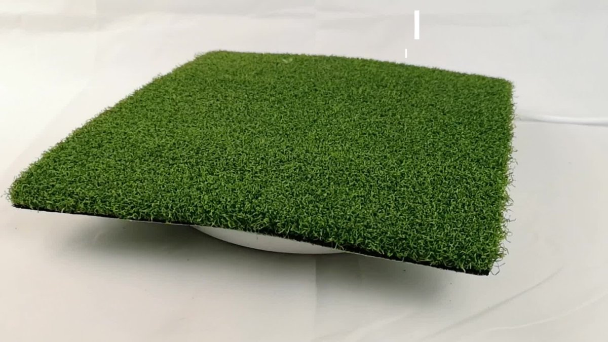 Ковер из живой травы