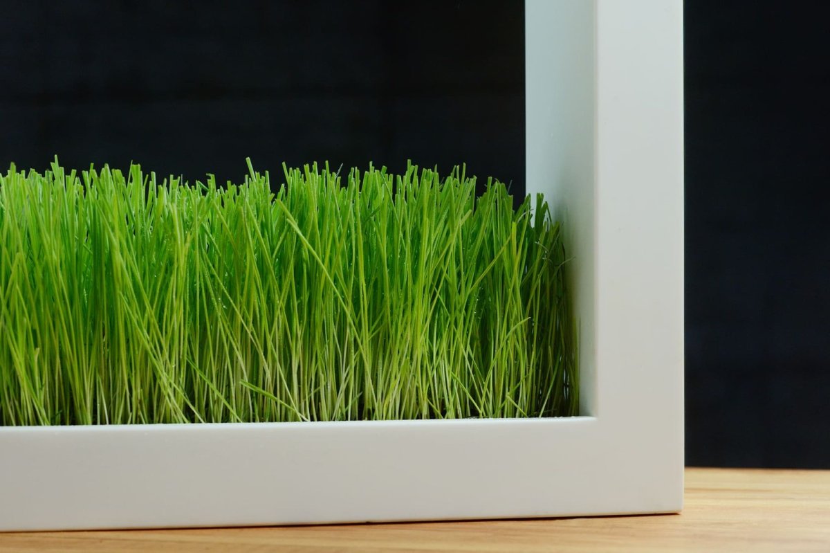 Ковер с длинным ворсом прикроватный