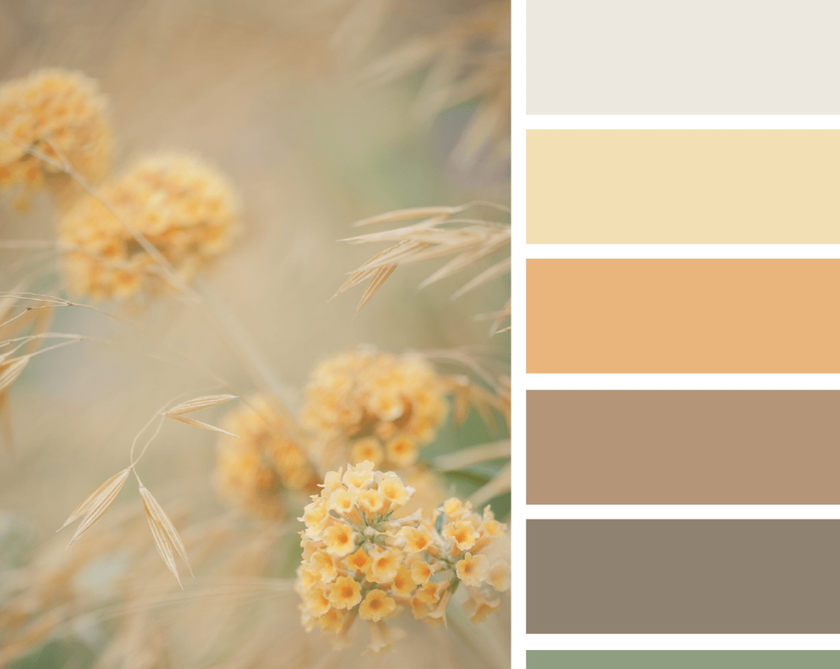 Нейтральная цветовая палитра