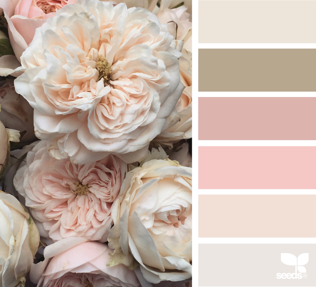 Мудборд палитра