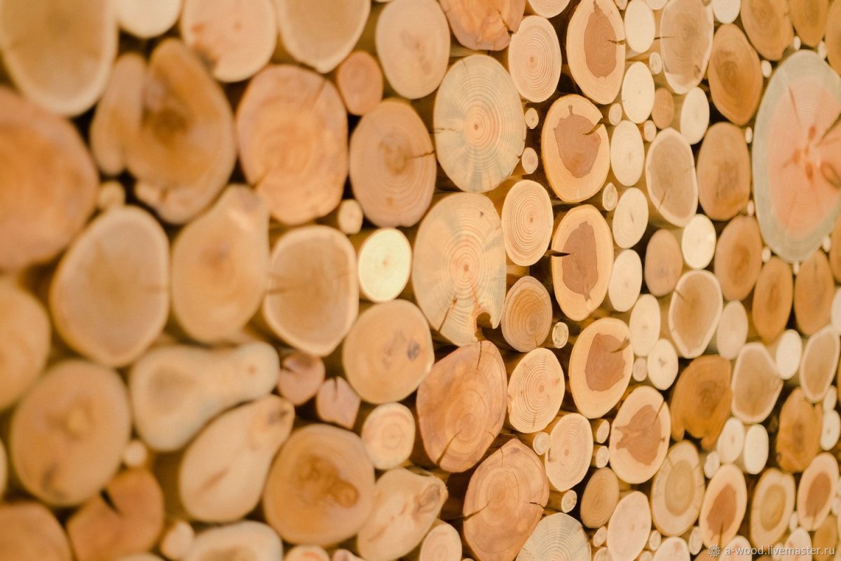 Стенка из деревянных спилов