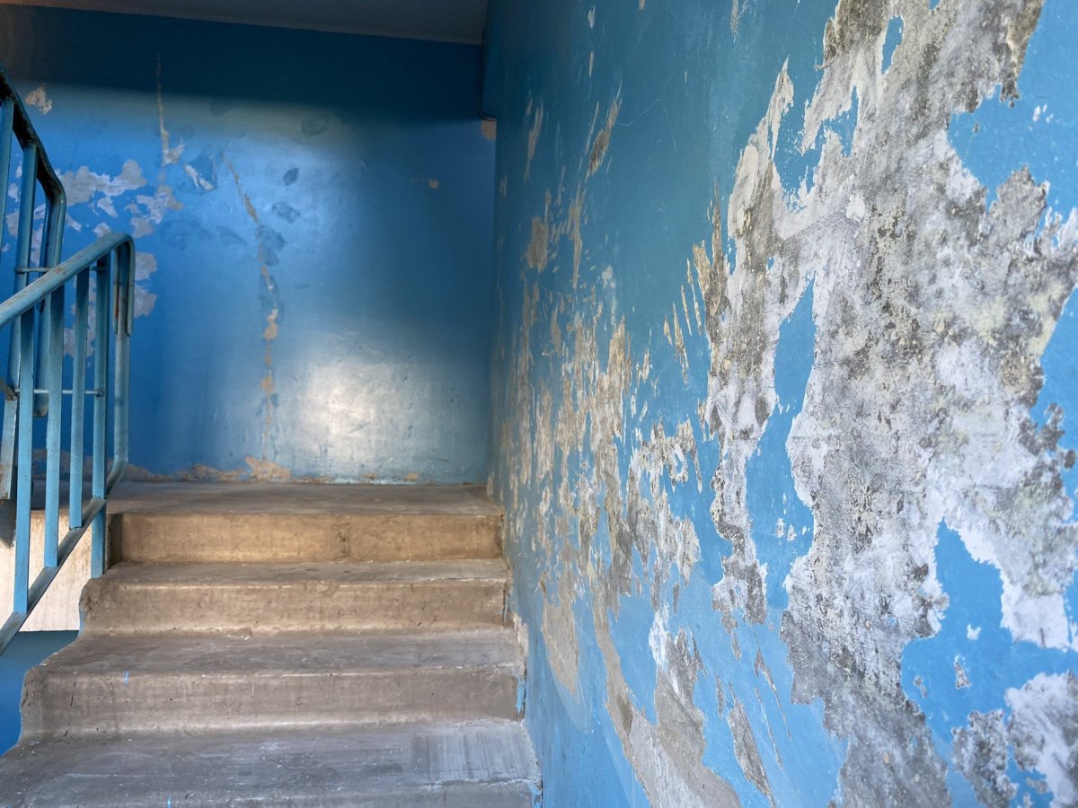 Отделка стен в подъезде