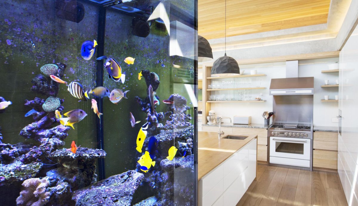 Дизайнерские аквариумы