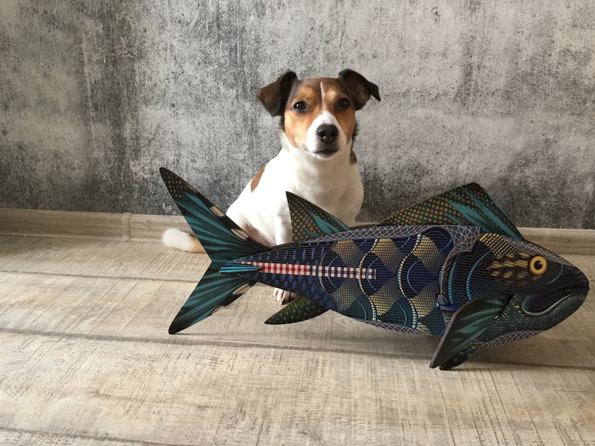 Рыбок и больших собак