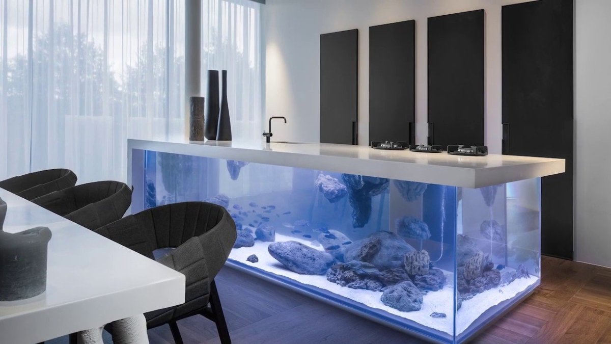 Аквариум с морскими рыбками в интерьере