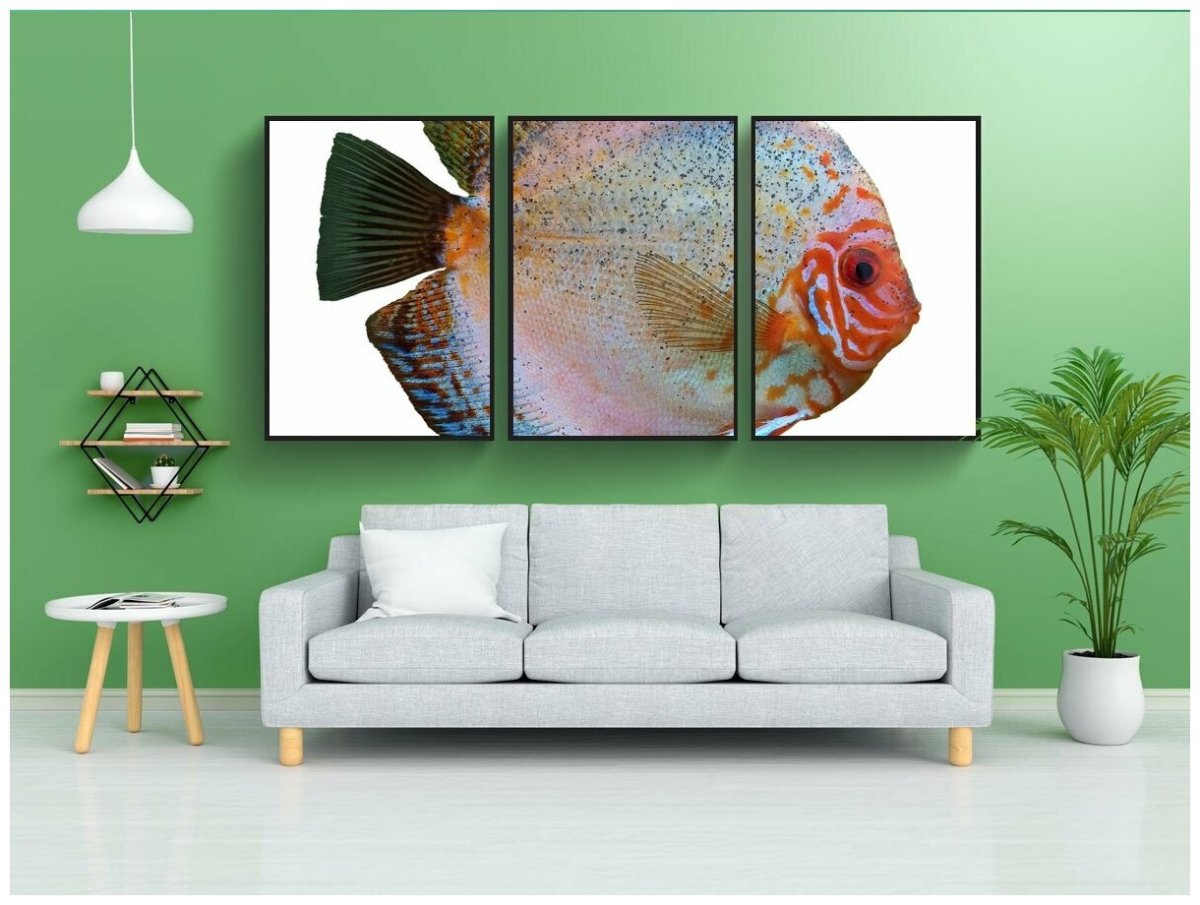 Горького 36 Рязань рыба Якутии