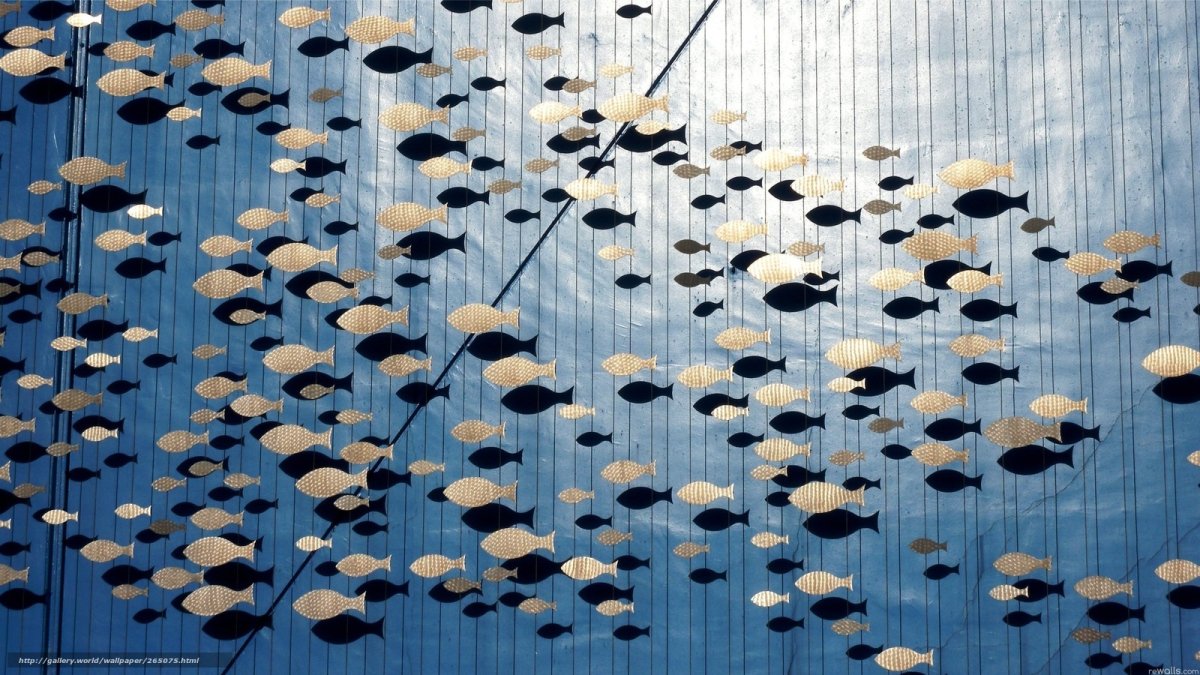 Косяк рыб арт