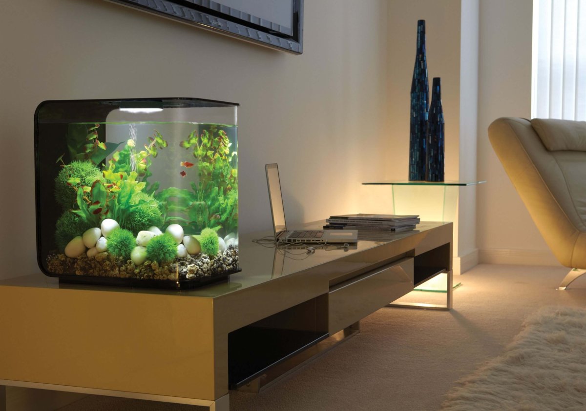 Аквариум BIORB Flow 30 led