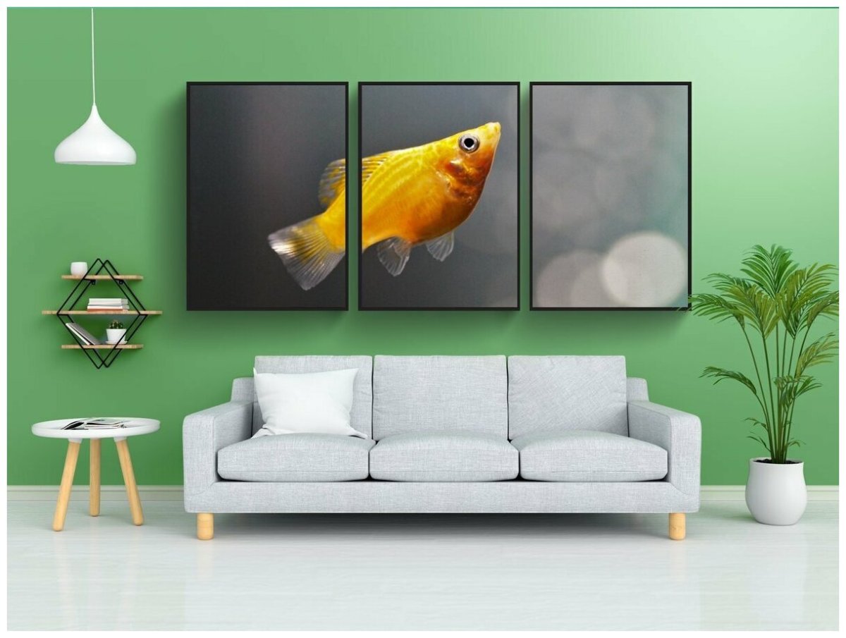 Интерьер рыбного магазина