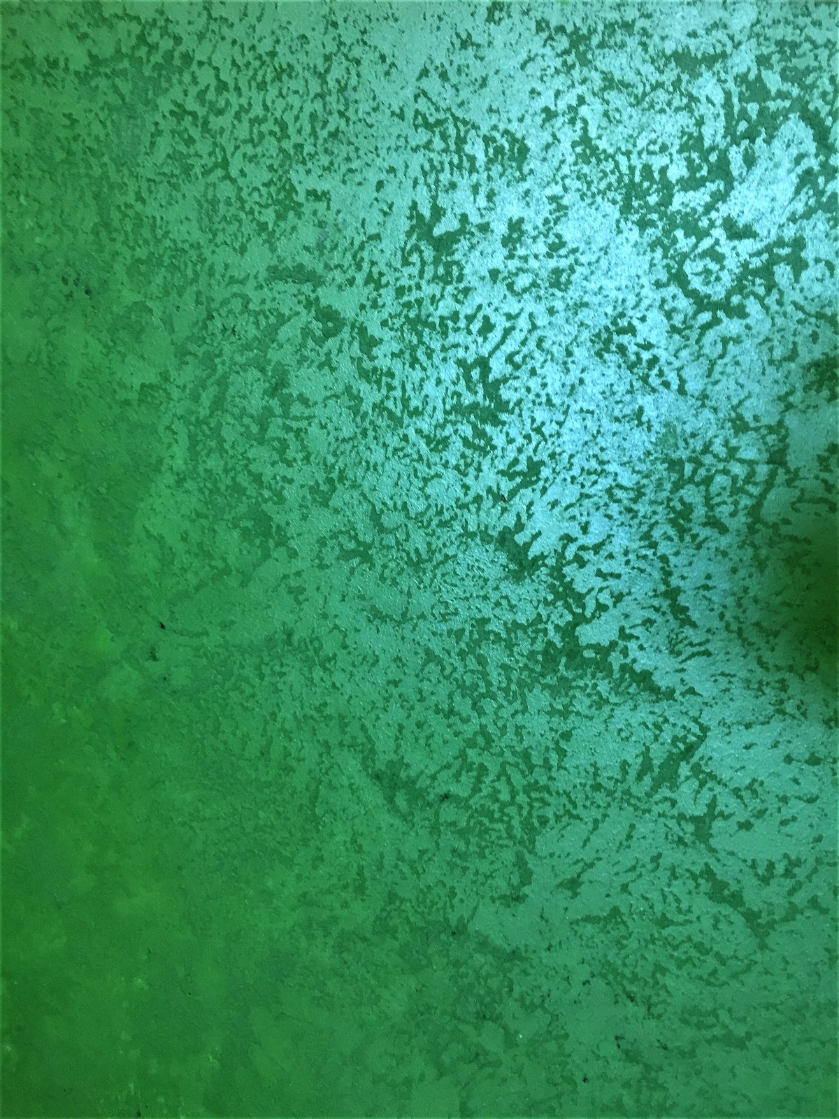 Изумрудная венецианская штукатурка