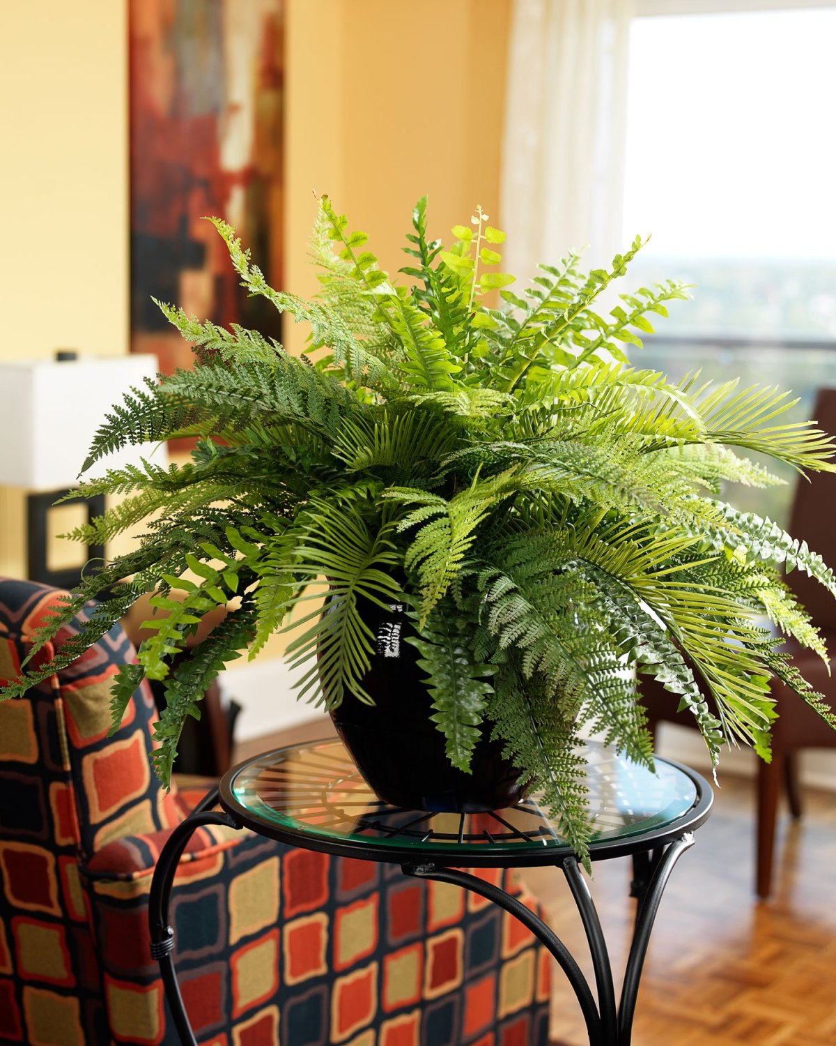 Атриум папоротник