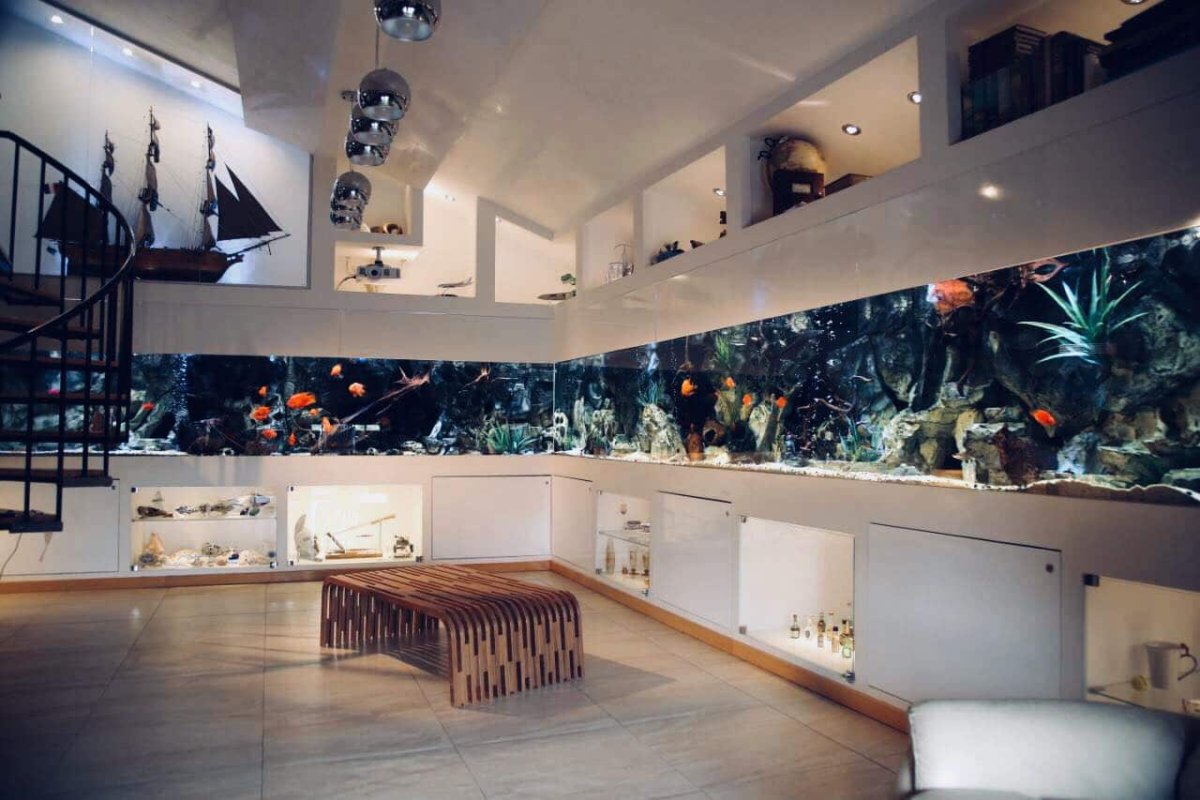 Зонирование аквариумом