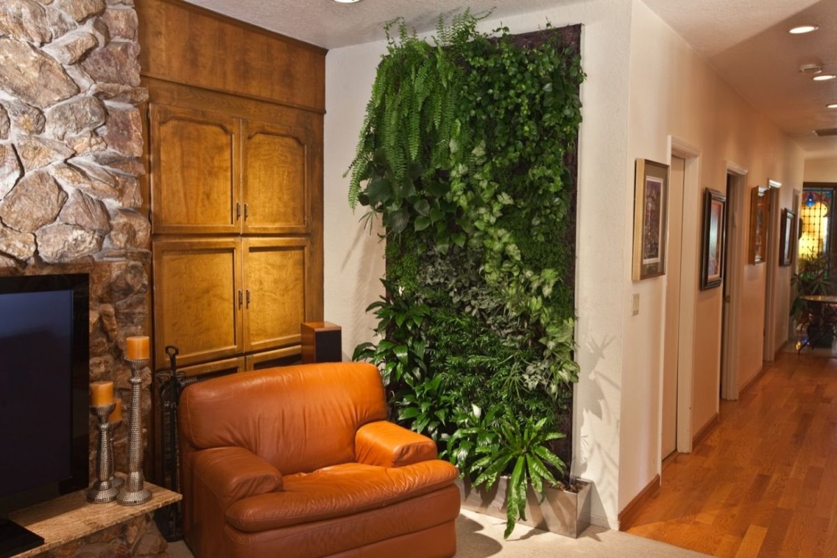 Нефролепис Глориоза