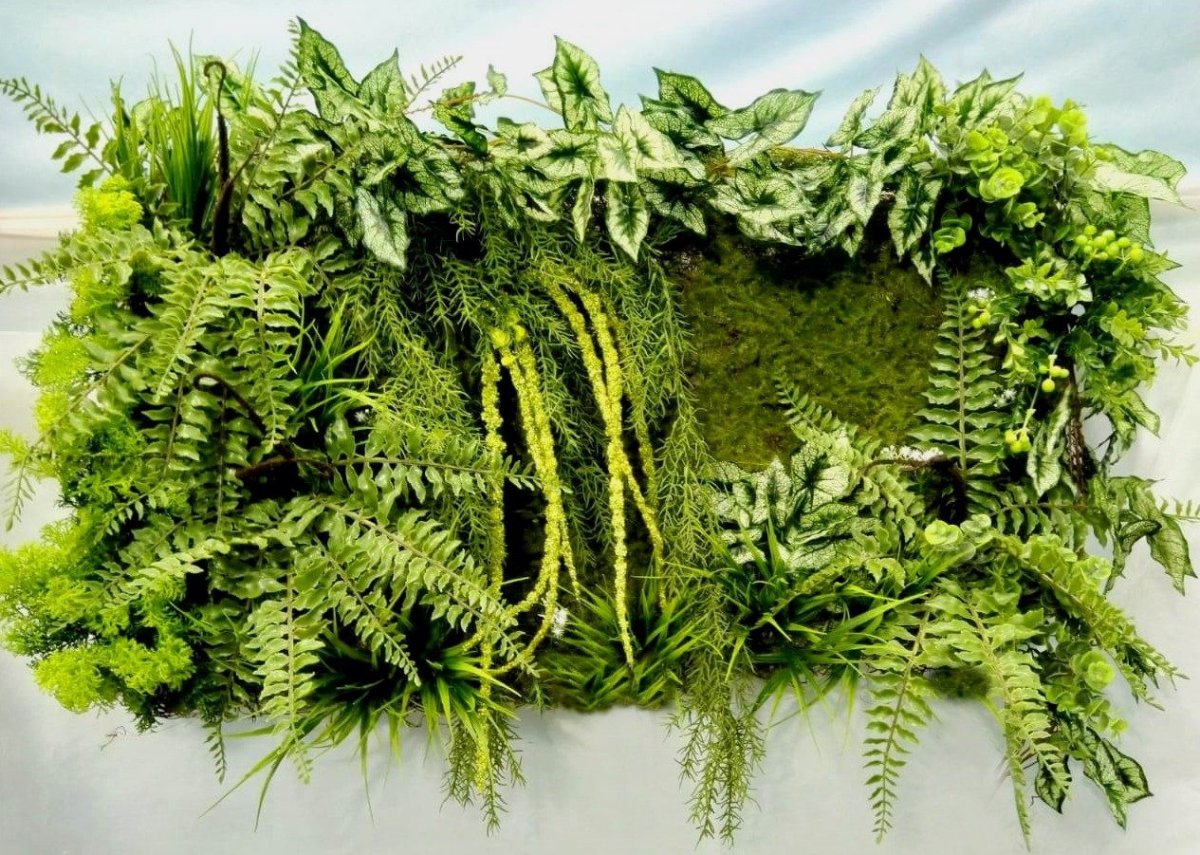 Папоротник нефролепис в саду