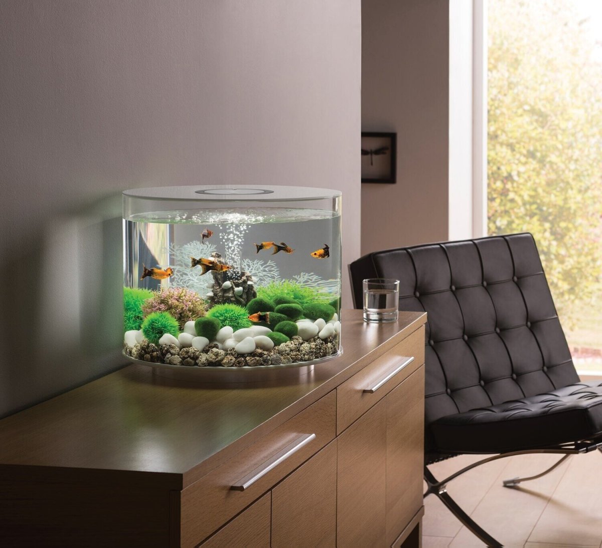 Белый аквариум в интерьере