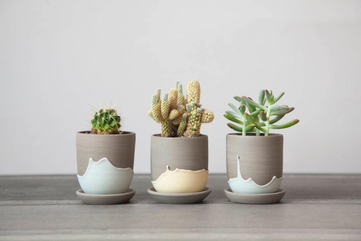 Ручка "Кактус" в горшке