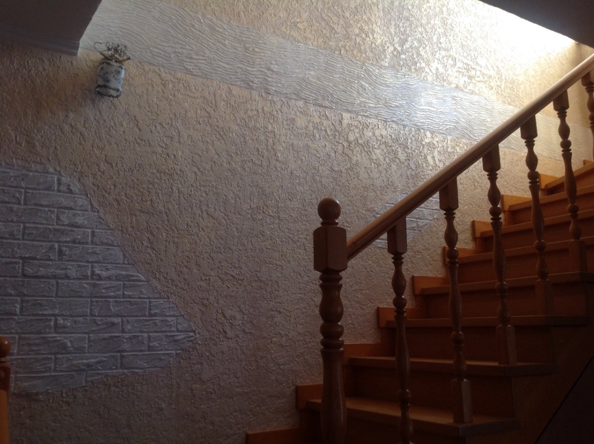 Короед венецианка