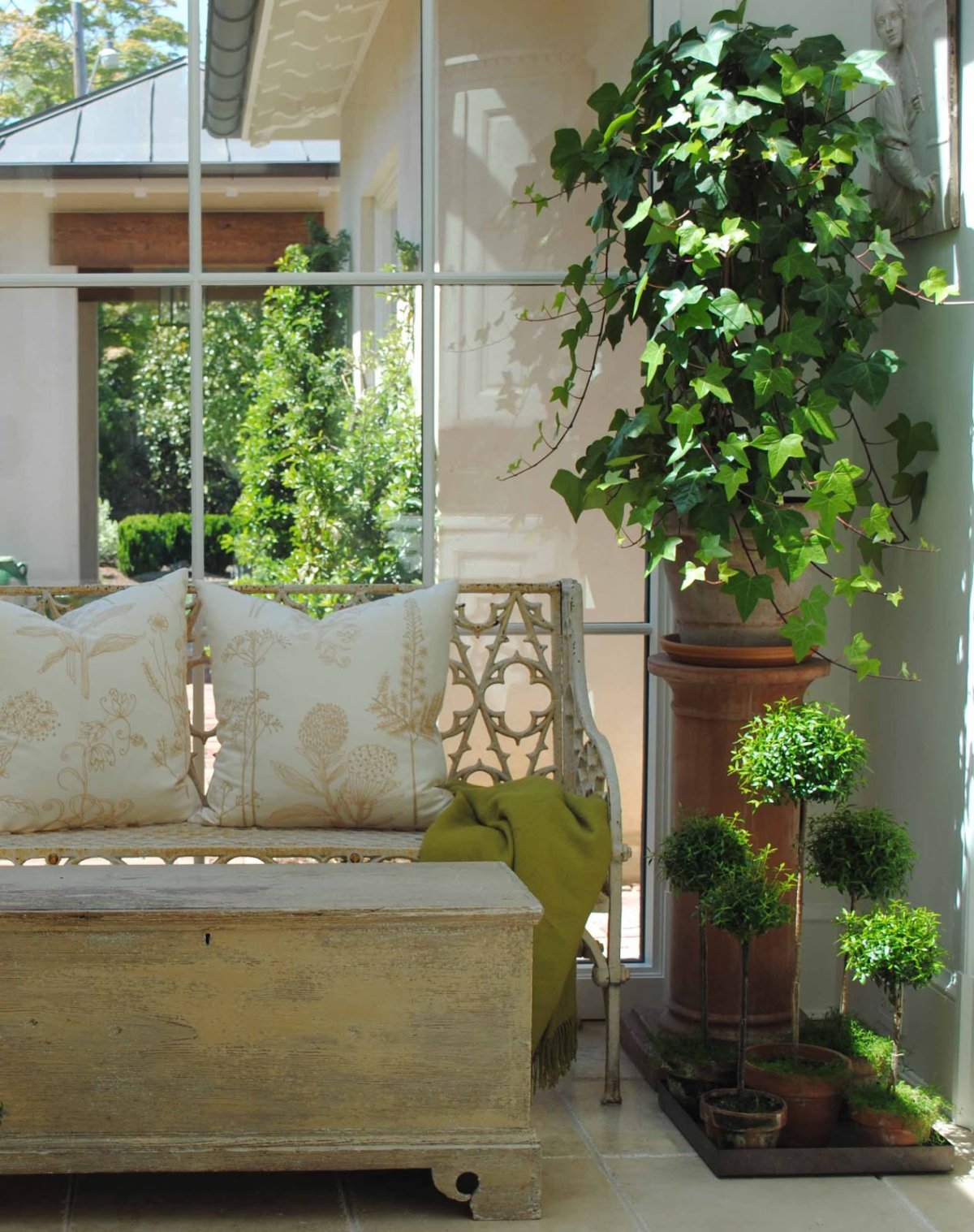 Хлорофитум вертикальное Озеленение