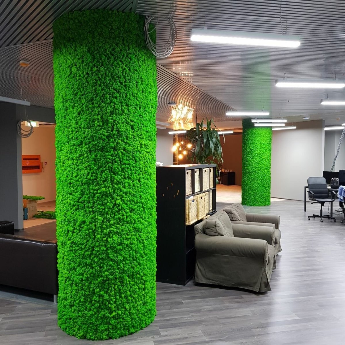 Мох в интерьере