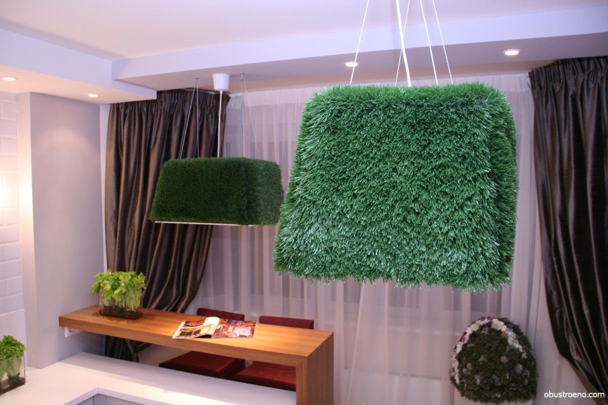 Мох ягель на стене