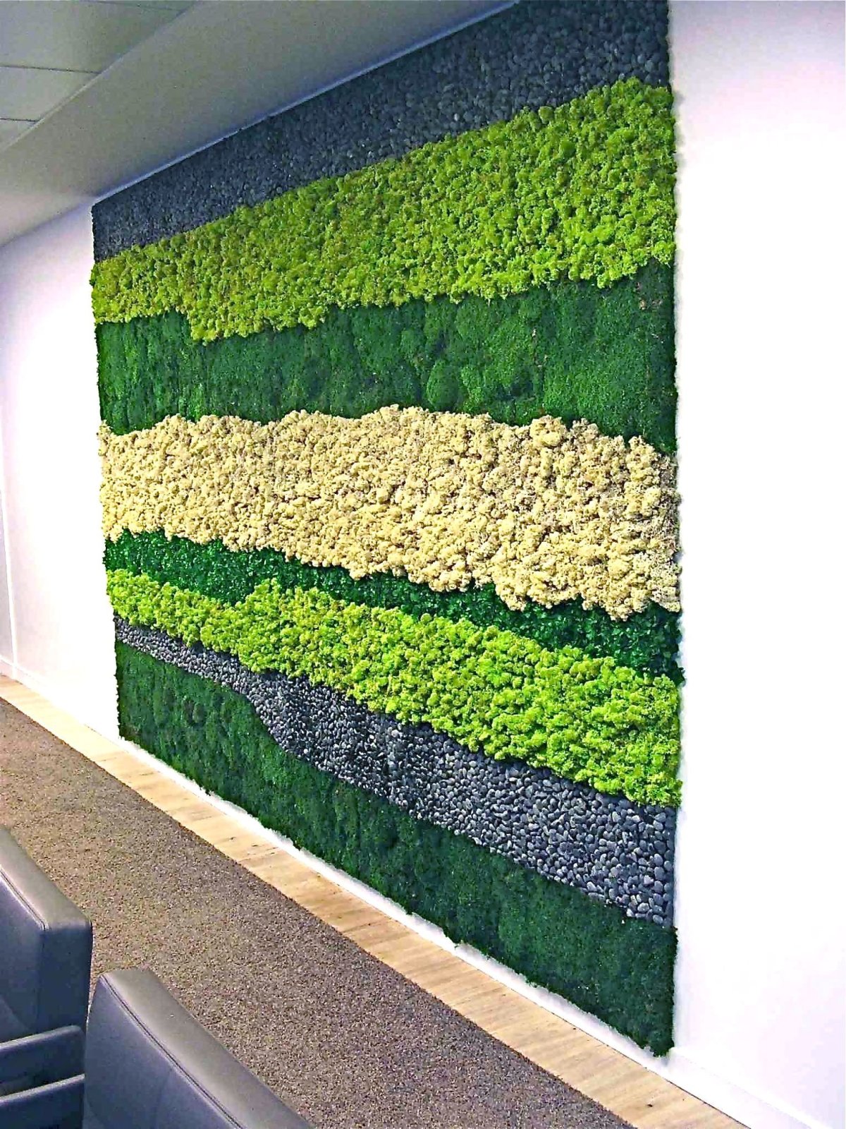 Фитостена из мха и растений