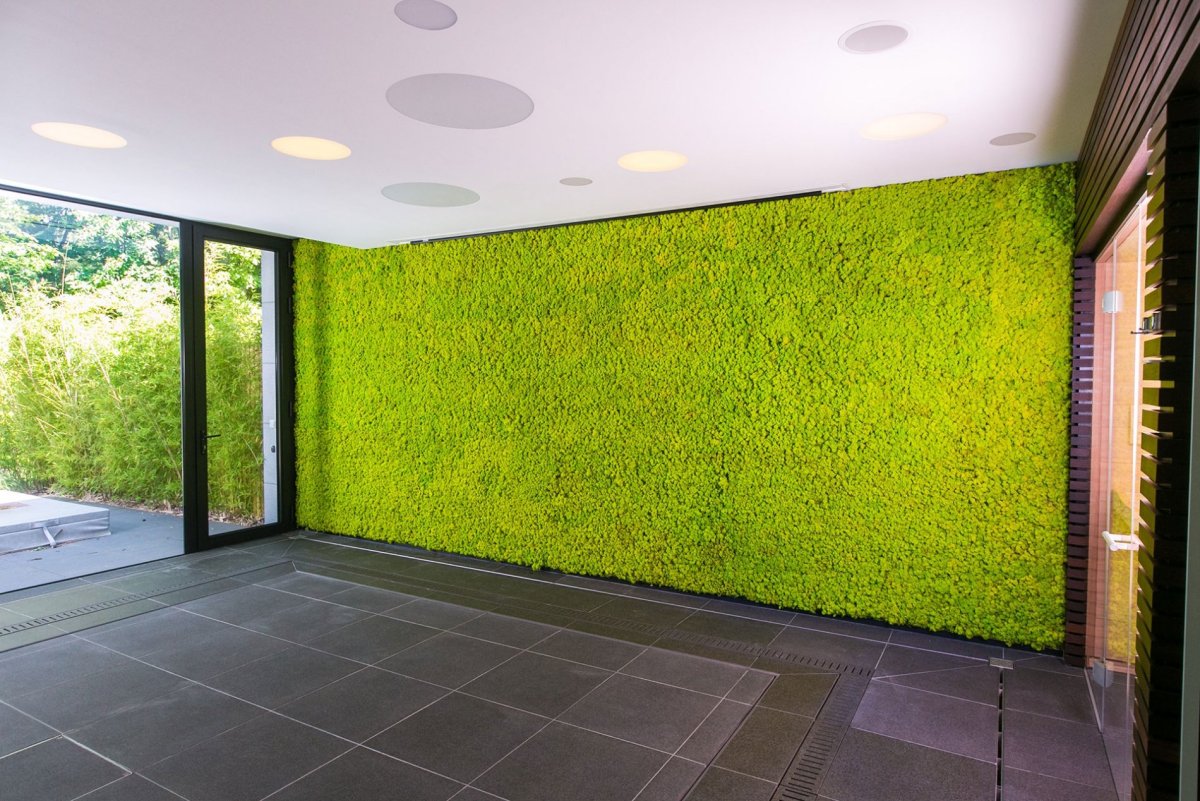 Газон Green Carpet High Premium