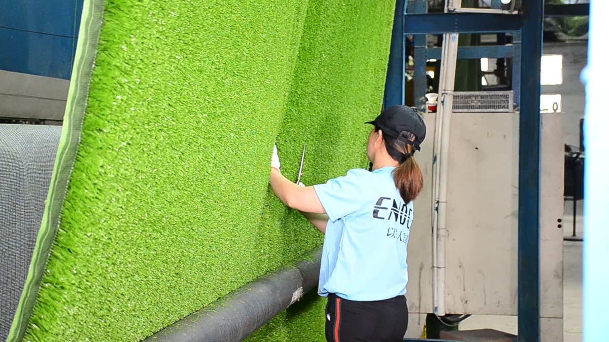 Мох ягель стабилизированный на стене