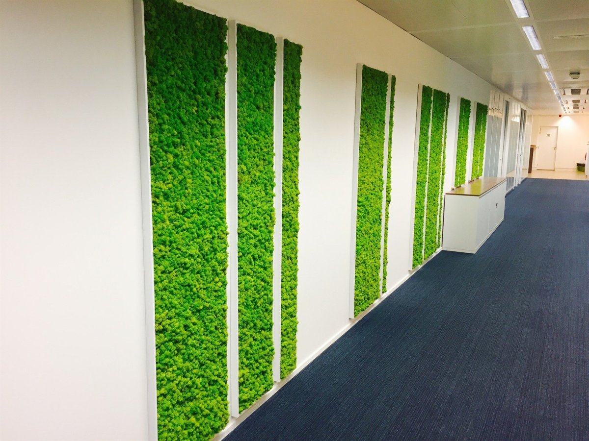 Мох в интерьере