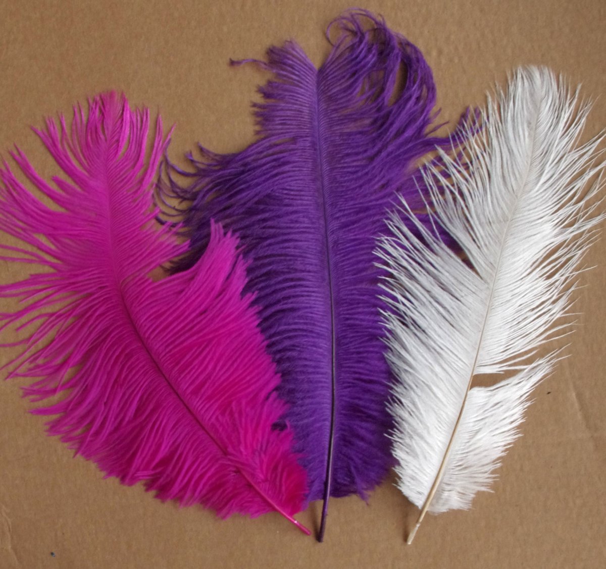 Перья в интерьере