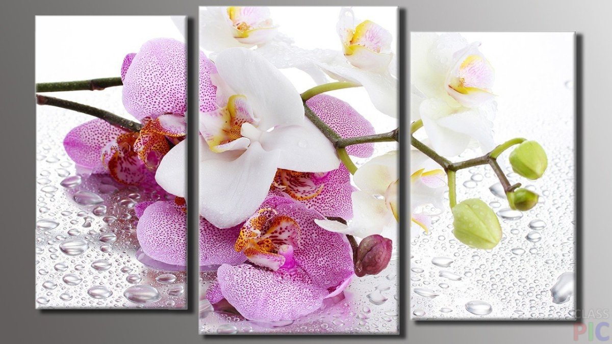 Тройные картины для интерьера